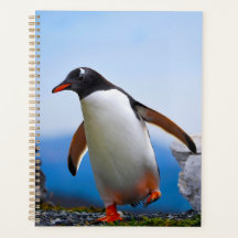 Eigene Bildvorlage hinzufügen Benutzerdefinierte G