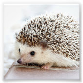 Eigene Foto-Druckfunktion Fotodruck (Vorne)