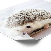 Eigene Foto-Druckfunktion Fotodruck (Ecke)