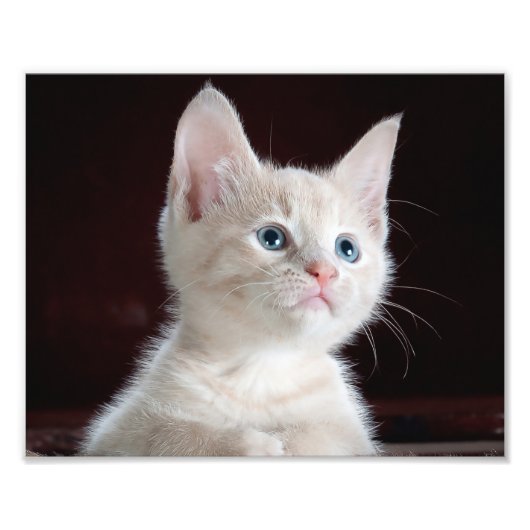 Eigene Foto-Print Fotodruck (Vorne)