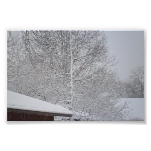 eigene Fotos drucken Fotodruck (Vorne)