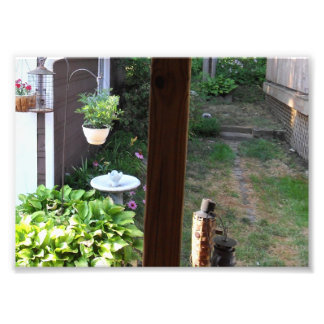 eigene Fotos drucken Fotodruck