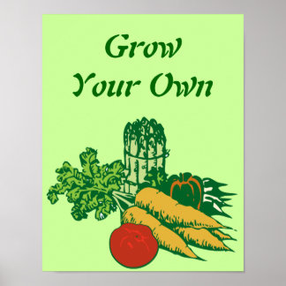 Eigene Gemüse anbauen Poster