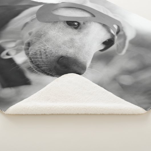 Eigene Hausname Typografie und Foto Sherpadecke (3/4)