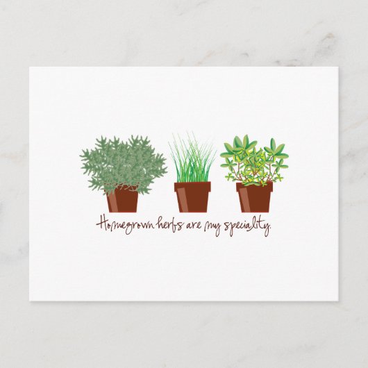 Eigene Kräuter sind meine Spezialität Postkarte (Vorderseite)