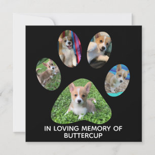 Eigene Pet Fotografie Pad Druckausgabe