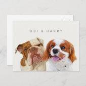 Eigene Portraits für Haustiere Postkarte (Vorne/Hinten)