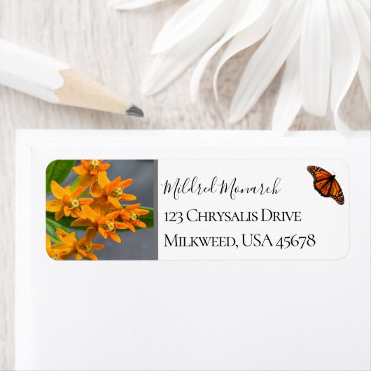 Eigene Schmetterlingsabfall-Foto-Wildblume (Insitu)