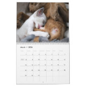 Eigener Schwung Kalender (Mär 2026)