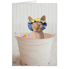 Eigener Text hinzufügen: Badzeit