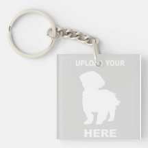 Eigenes Cavachon Dog Foto hinzufügen