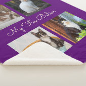 Eigenes Foto für meine Pelzbabys Sherpadecke (3/4)