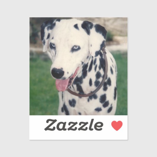 Eigenes Foto für meinen Freund Aufkleber (Blatt)