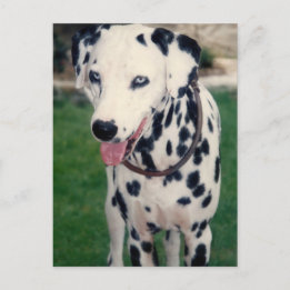 Eigenes Foto für meinen Freund Postkarte