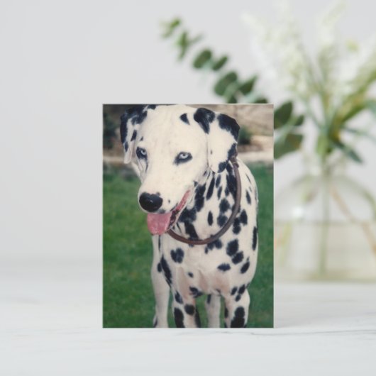 Eigenes Foto für meinen Freund Postkarte (Stehend Vorderseite)