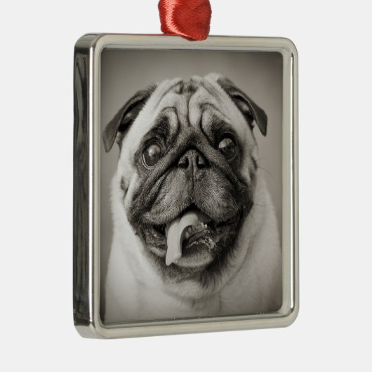 Eigenes Foto hinzufügen | Erstellen Sie Ihr eigene Silbernes Ornament (Rechts)