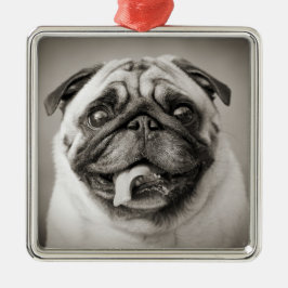 Eigenes Foto hinzufügen | Erstellen Sie Ihr eigene Silbernes Ornament