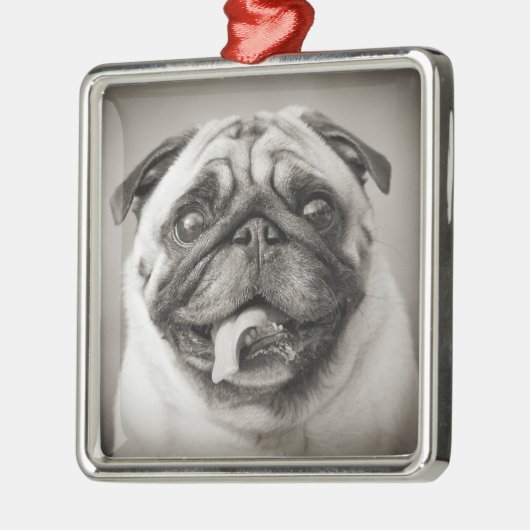 Eigenes Foto hinzufügen | Erstellen Sie Ihr eigene Silbernes Ornament (Links)