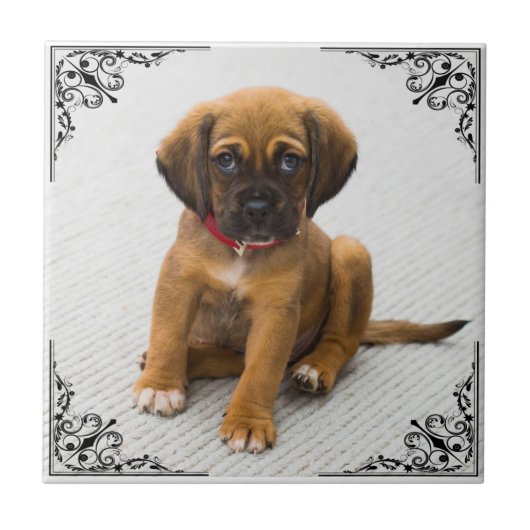 EIGENES FOTO HINZUFÜGEN FLIESE (Vorderseite)