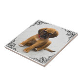 EIGENES FOTO HINZUFÜGEN FLIESE (Seite)