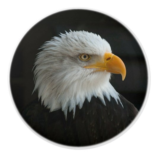 EIGENES FOTO ODER TEXT HINZUFÜGEN KERAMIKKNAUF (Vorderseite)