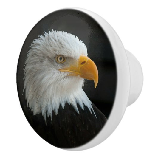 EIGENES FOTO ODER TEXT HINZUFÜGEN KERAMIKKNAUF (Rechts)