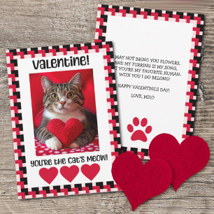 Eigenes Foto Valentinskarte von der Katze Feiertagskarte