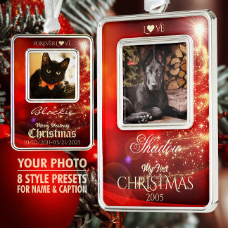 Eigenes Haustier Foto Sake Weihnachtsbaumdekor, Ro Rahmen-Ornament Silber