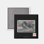 Eigengewicht Magnet (Vorderseite/Rückseite)