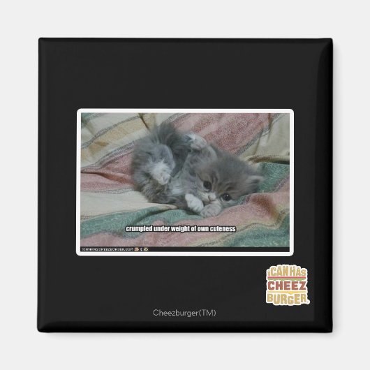 Eigengewicht Magnet (Vorne)