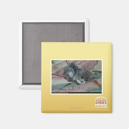 Eigengewicht Magnet (Vorderseite/Rückseite)