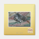 Eigengewicht Magnet (Vorne)