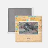 Eigengewicht Magnet (Vorderseite/Rückseite)