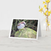 Eigenheimsparrow Karte (Gelbe Blume)