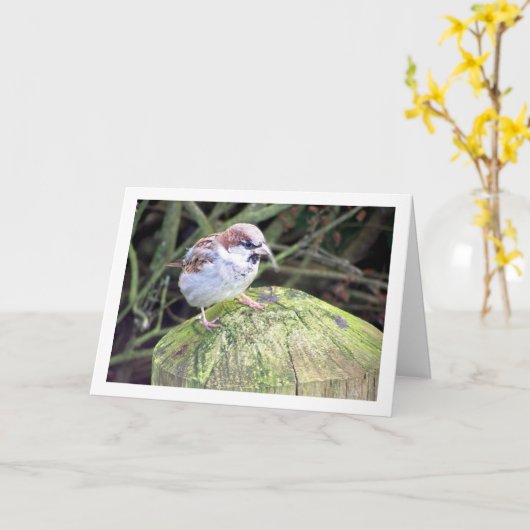 Eigenheimsparrow Karte (Gelbe Blume)