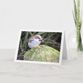 Eigenheimsparrow Karte (Vorderseite)