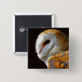 EIGENSCHAFT BUTTON (Vorne & Hinten)