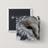 EIGENSCHAFT BUTTON (Vorne & Hinten)