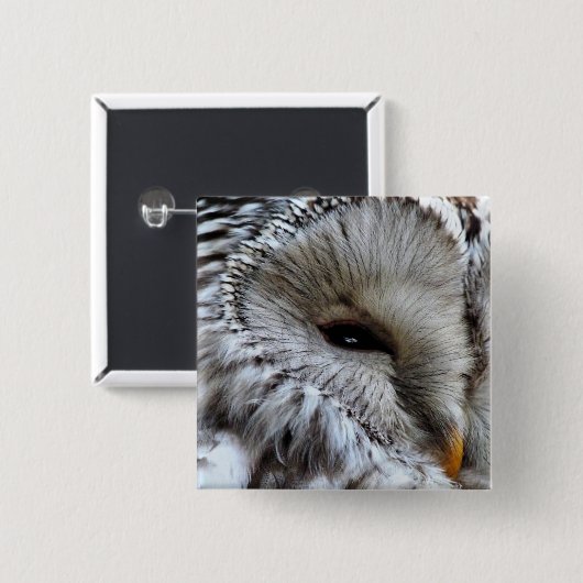 EIGENSCHAFT BUTTON (Vorne & Hinten)