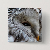 EIGENSCHAFT BUTTON (Vorderseite)