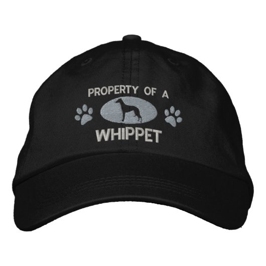 Eigenschaft eines bestickten Hippets Bestickte Baseballkappe (Vorderseite)