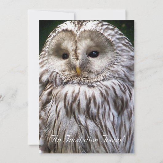 EIGENSCHAFT EINLADUNG (Vorderseite)