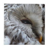 EIGENSCHAFT FLIESE (Vorderseite)