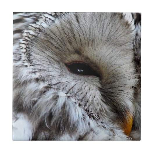 EIGENSCHAFT FLIESE (Vorderseite)