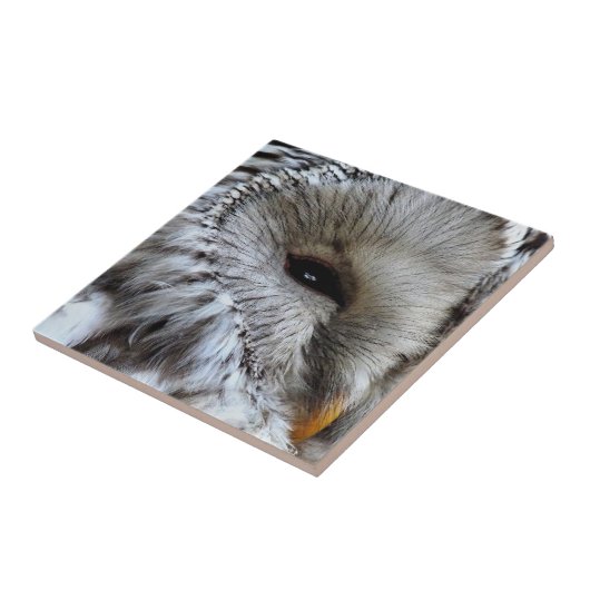 EIGENSCHAFT FLIESE (Seite)