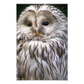 EIGENSCHAFT FOTODRUCK (Vorne)