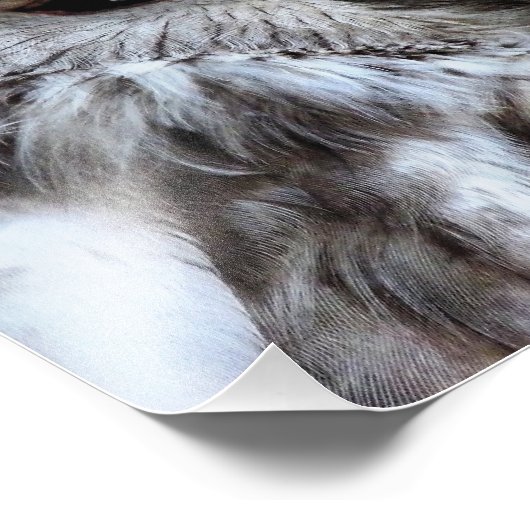 EIGENSCHAFT FOTODRUCK (Ecke)