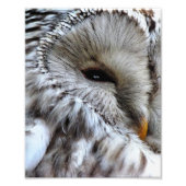 EIGENSCHAFT FOTODRUCK (Vorne)