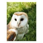 EIGENSCHAFT FOTODRUCK (Vorne)