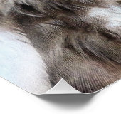 EIGENSCHAFT FOTODRUCK (Ecke)